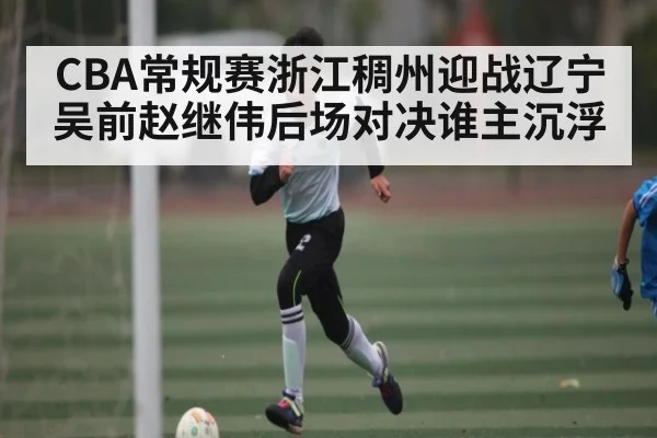 CBA常规赛浙江稠州迎战辽宁 吴前赵继伟后场对决谁主沉浮 - kaiyun