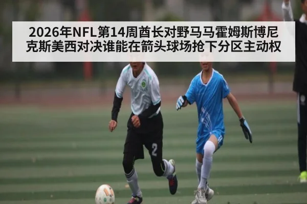 2026年NFL第14周酋长对野马马霍姆斯博尼克斯美西对决谁能在箭头球场抢下分区主动权